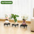 bozopion 3 Pack 10.2 Inch Metal Plant Stands Outdoor Indoor Pot Riser,Black