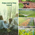 Soildrops WiFi Water Timer Smart Irrigation Controller with Gateway