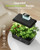 URUQ 12 Pods Hydroponic Growing System Grow Light Remote Control Charcoal