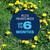 BioAdvanced 3-in-1 Weed & Feed for Southern Lawns Plus Insect Killer -10 lb