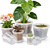 FUOAUYK 12/10/8/6/4 Inch Clear Nursery Pots with Drainage and Saucers, 20 Pack Large Clear Plastic Nursery Pots for Plants, Seedling Plant Pots for Repotting and Growing Plants, Flowers & Vegetables