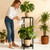 Plant Stand Indoor Outdoor, 41'' Tall Wrought Iron Plant Stands, Heavy Duty