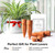 The Olla Company Terracotta Watering Spikes with Lids, Large 4 Pack