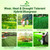 Outsidepride SPF-30 Hybrid Bluegrass Seeds - 5 lbs. Heat & Drought Tolerant, Texas Bluegrass & Kentucky Bluegrass Seed Mix for Challenging Climates, OptiGrowth Coated for Better Establishment