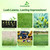 Outsidepride OSP Ryegrass Blend - 5 Lbs. Perennial, Pure Raw Seed w/ 0.00% Other Crop & Weed Seed