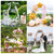 SuuWoee Wedding Arch Backdrop Stand Set of 2 With White Cover (7.2FT+6FT)