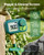 Newentor Brass Sprinkler Timer for Garden Water Hose