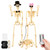 3PC Halloween Skeleton Decorations,2 3FT Life Size Skeletons & Skeleton Dog
