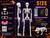 3PC Halloween Skeleton Decorations,2 3FT Life Size Skeletons & Skeleton Dog