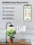 GLOWRIUM Smart Grow Lights for Indoor Plants,Full Spectrum Desk Plant Light