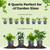 Perfect Plants Aroid Potting Soil, 8 qt, Chunky Monstera Mix