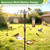 83" Bird Feeding Station Kit with Multiple Hooks, Heavy Duty Metal Bird Feeding Station with Seed Tray & Mesh Basket, Easy Assembly Ground Mounted Bird Feeder Pole for Garden Yard Outdoor