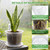 10/7/6/5 Inch Clear Nursery Pots with Drainage & Saucers, 16Pack Large Plant Pots with Labels, Seedling Tool & Hole Puncher, Plastic Nursery Pots for Succulents, Seedings, Herbs, Flowers, Vegetables