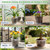 10/7/6/5 Inch Clear Nursery Pots with Drainage & Saucers, 16Pack Large Plant Pots with Labels, Seedling Tool & Hole Puncher, Plastic Nursery Pots for Succulents, Seedings, Herbs, Flowers, Vegetables