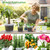 10/7/6/5 Inch Clear Nursery Pots with Drainage & Saucers, 16Pack Large Plant Pots with Labels, Seedling Tool & Hole Puncher, Plastic Nursery Pots for Succulents, Seedings, Herbs, Flowers, Vegetables