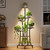 Corner Plant Stand Indoor With Grow Light, 7 Tier 63" Tall Plant Shelf