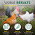 Buff Clucks Dust Bath for Chicken Nesting Herbs Blend Coop Floor, 12 oz