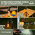 Mozz Shield Mosquito Repellent Outdoor Lantern Flashlight USB-C Camping