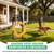Shomextol Garden Hose Holder,100ft Capacity Hose Reel,Star Style