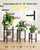 AZADESJET 3 Pack Plant Stand Indoor Adjustable, Metal Modern Indoor Plant Stand, Heavy Duty Single Plant Stands Outdoor Corner, Stable Plant Holder Indoor Stand, Fits 8 to 12 Inches Pots, Black