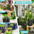 4PCS 20-Gallon Potato Grow Bag-Harvest & Visible Window Garden Planting Bag