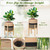Sunnychicc Plant Basket with Stand,10 Inch,Black and Beige Stripes