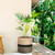 Sunnychicc Plant Basket with Stand,10 Inch,Black and Beige Stripes