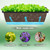 CADUKE 6 PCS Railing Planter Boxes, Black Planter Boxes with Bracket