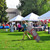 Cuddly Nest 10x20ft Wheeled Canopy Bag Replacement for Commercial Canopy