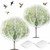 KYRGEU 2Pcs 10X10ft Fruit Tree Netting Covers for Birds and Squirrels –Bird Nets for Fruit Trees with Zipper and Drawstring, Extra Large Durable Mesh Garden Netting to Protect Fruit Trees