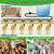 Automatic Chicken Water System, Complete Set with Large Water Cup,Pipeline
