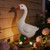 Large Porch Goose Statue with Solar Garden Light,20 Inch Realistic Hand-Painted Goose Sculpture, All-Weather Resin Outdoor Decor for Garden, Yard, Patio, Fits Standard Goose Porch Duck Outfits,White