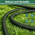 50FT Flexible Garden Hose & 10Modes Nozzle,Lightweight Water Hose,Kink-Free,All-Weather 3/4 in. NoneExpanding Hose for RV,Boat,Car Wash,Garden,Yard,Camper,Outdoor (Green-Black, 50Ft)