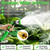50FT Flexible Garden Hose & 10Modes Nozzle,Lightweight Water Hose,Kink-Free,All-Weather 3/4 in. NoneExpanding Hose for RV,Boat,Car Wash,Garden,Yard,Camper,Outdoor (Green-Black, 50Ft)