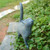 Newman House Studio Garden-Statues Cat-Figurines Home Garden Decor - Farmhouse Backyard Polyresin Kitten 7.6L x 4W x 14.5H inch