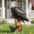 Euiroet 13.2" Real Eagle Outdoor Sculpture,Funny Bird Statue,Garden Beach Statue Decorations,Resin Animal Seabird Ornaments,Coastal Beach Decor,Patio Decor for Table Statues for Garden,Lawn,Yard