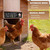 IBKINXX Automatic Chicken Coop Door Solar Powered,Golden Brown Chicken Door