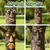 FmnyYaid 4 Pack Tree Faces Decor Outdoor, Whimsical Old Man Tree Hugger Statues, Resin Tree Art for Garden Yard Patio, Funny Tree Peeker Sculptures for Halloween Easter