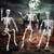 Wocst 6Ft Life Size Skeleton Posable Skeleton with Movable Joints Halloween Full Body Plastic Human Bones with 2PCS Black Crows for Halloween Indoor Outdoor Decor
