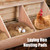 Matutinus Laying Hen Nesting Pads, Premium Bedding for Chicken Nesting Box, Chicken Coop Accessories, 13x13, 12 Pieces (4 Pack)