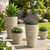 ZMTECH 4 Pack Plastic Planters 21/18/12/10in, Beige Faux Stone Finish Round Flower Pots with Drainage Holes & Saucers, Large Tall Plant Pots for Indoor Outdoor, Patio Garden Decor, Plant Containers