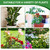 HiGift 10 Pack 24" H x 10" W Tall Plant Support Stakes, Half Round Metal Peony Cages and Supports, Monstera Plant Support Snake Plant Stake Flower Support Ring for Tomato, Hydrangea Outdoor Indoor