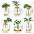 Anboliwb 6 Pcs Plants Propagation Stations Glass Planter Terrariums with Wooden Lid and Bamboo Stand Desktop Propagation Vases Jars for Plant Growing Hydroponic Home Office Tabletop Garden Decoration