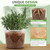 FUOAUYK 7/8/10 Inch Large Clear Nursery Pots with Drainage, 9 Pack Plastic Pots for Plants, Clear Plant Seedling Pots for Indoor & Outdoor Gardening (7 8 10 inch)