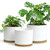DGJDLWHX Large Plant Pots Set of 3 – 8", 9", 10" Indoor Flower Pots with Drainage Holes and Saucers, Big Planters for Monstera, Fiddle Leaf Fig, Snake Plant – 5 Colors