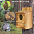 Screech Owl House, Large Wooden Circular Opening Screech Box for Outside