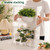 PEEKUP Mini Greenhouse Indoor with Magnetic Door, M-4tier-1pcs