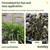 Sunday Weed Warrior, Organic Weed & Grass Killer Concentrate Kit, 2-Pack