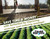 Liquid Harvest Concentrated Surfactant for Herbicides Non-Ionic Gallon (128oz), Increase Product Coverage, Increase Product Penetration, Increase Product Effectiveness