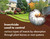 Pro Grub Control – 32oz - Concentrated Imidacloprid (21.4%) Insecticide for Trees, Shrubs & Landscape Ornamentals – Controls Aphids, Japanese Beetles, Weevils, Grub Larvae & More
